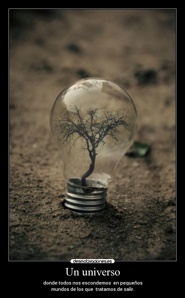 Un universo -