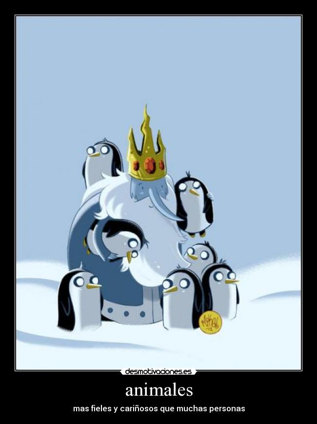 animales - mas fieles y cariñosos que muchas personas