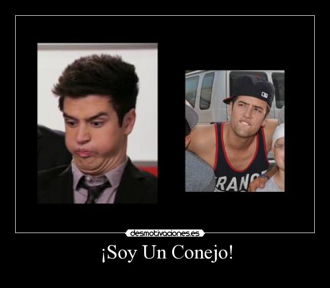 ¡Soy Un Conejo! -