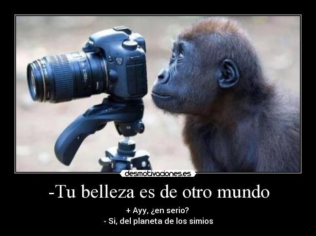 -Tu belleza es de otro mundo - + Ayy, ¿en serio?
- Si, del planeta de los simios