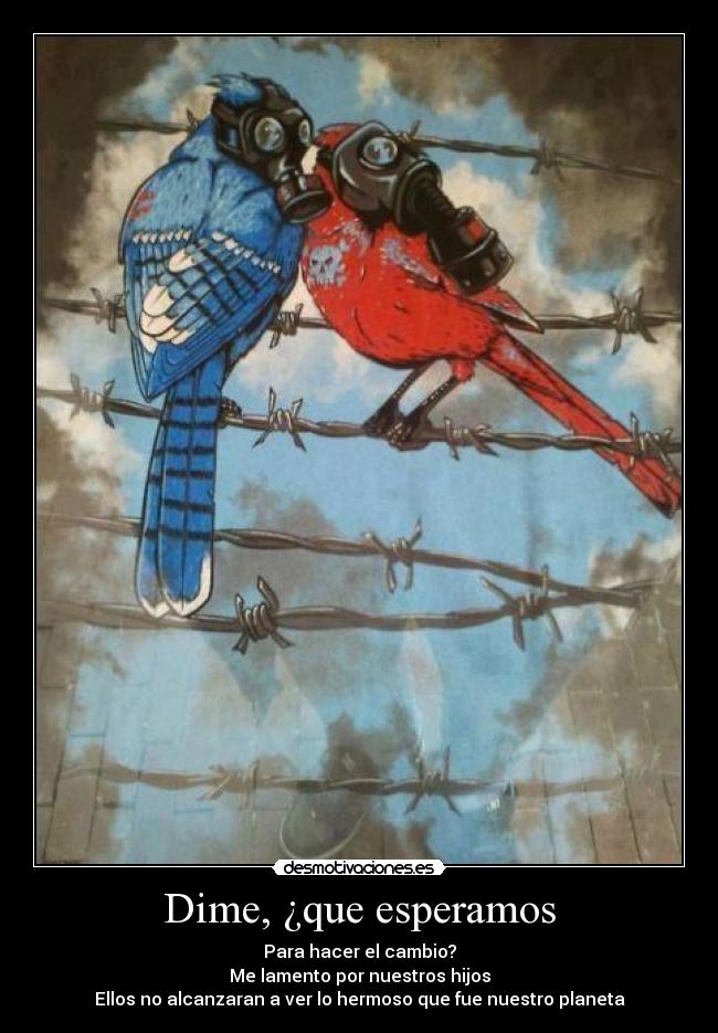 carteles solo creamos destruccion desmotivaciones