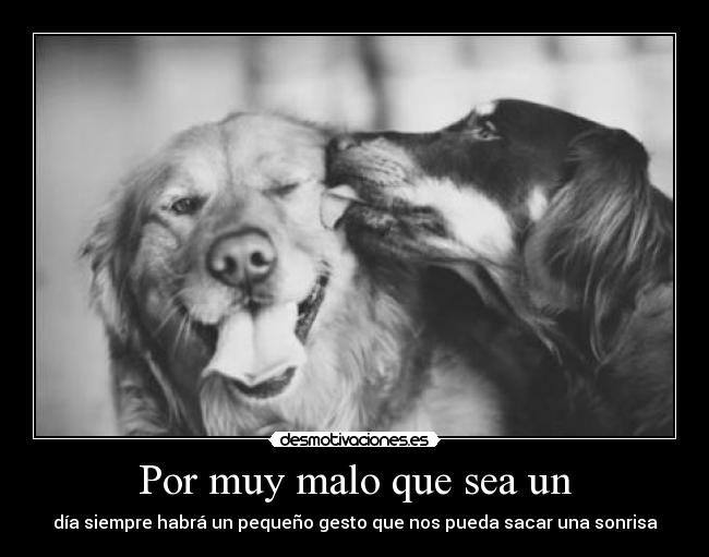 Por muy malo que sea un -