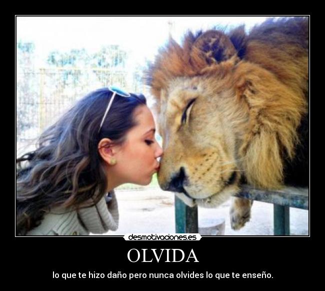 OLVIDA - lo que te hizo daño pero nunca olvides lo que te enseño.