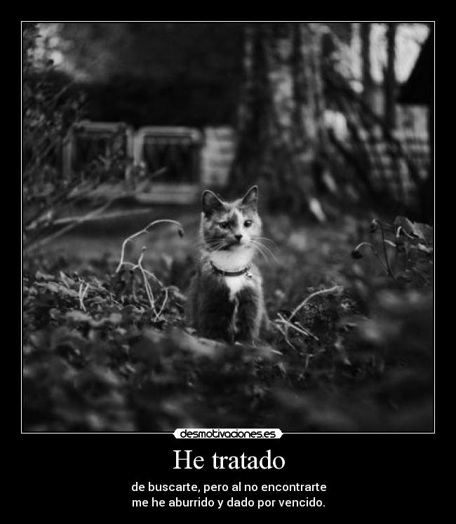 He tratado - de buscarte, pero al no encontrarte
me he aburrido y dado por vencido.