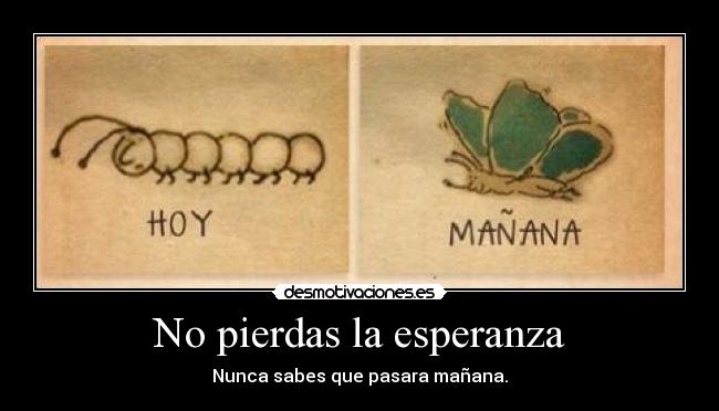 No pierdas la esperanza - Nunca sabes que pasara mañana.
