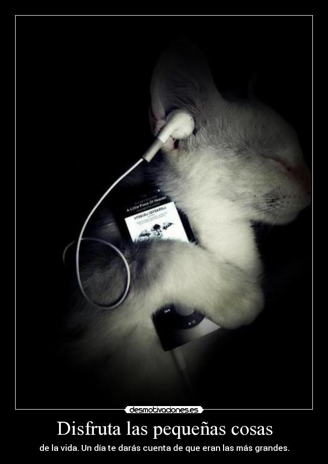 Disfruta las pequeñas cosas - 