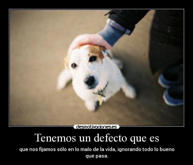 carteles todos alarmen cdg quiere pasear barca cpec4 dias desmotivaciones