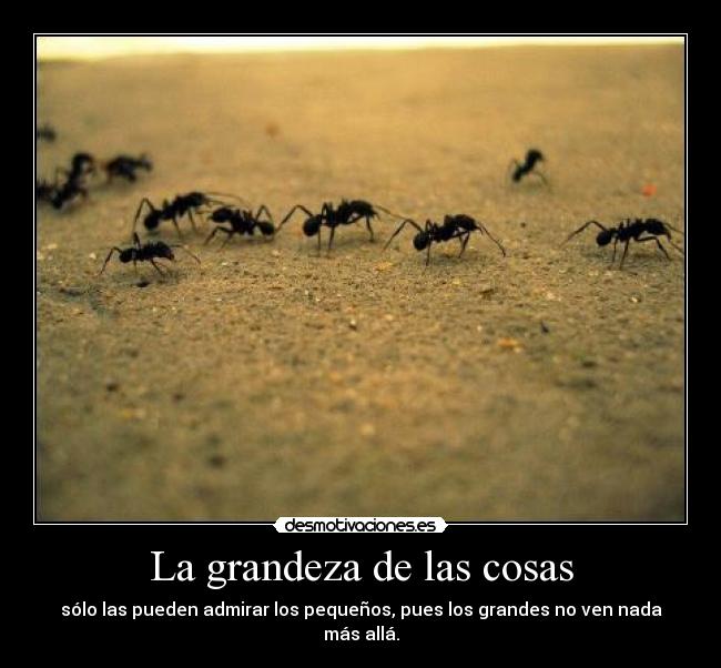 La grandeza de las cosas - sólo las pueden admirar los pequeños, pues los grandes no ven nada más allá.