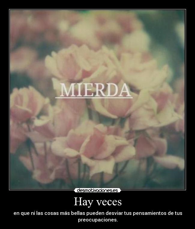 Hay veces - en que ni las cosas más bellas pueden desviar tus pensamientos de tus
preocupaciones.