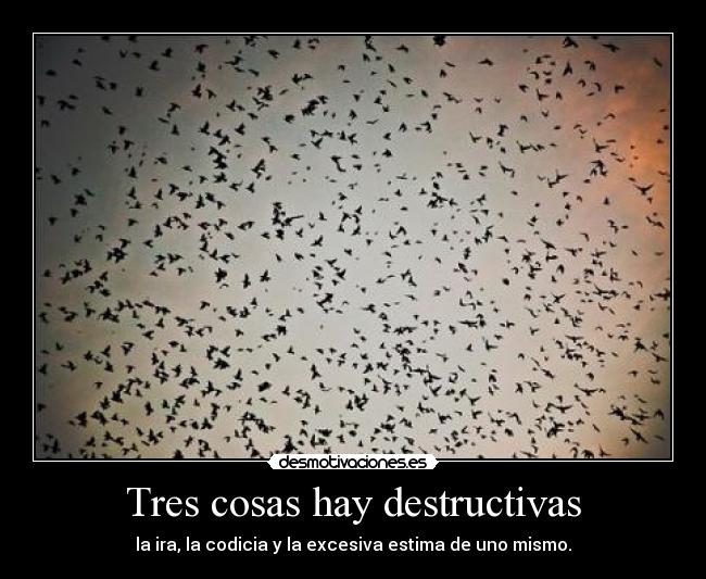 Tres cosas hay destructivas -