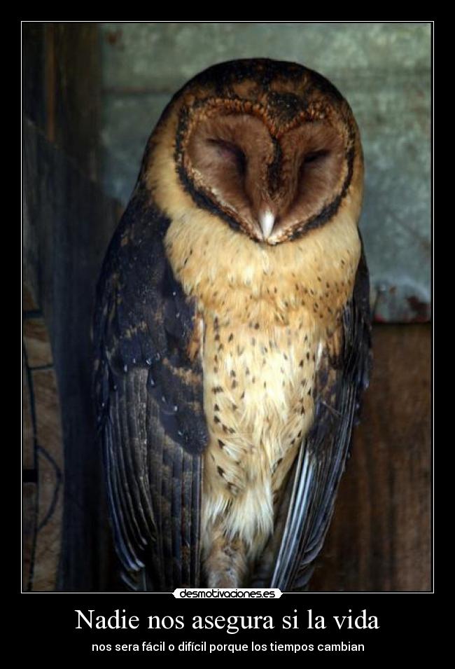 Nadie nos asegura si la vida - nos sera fácil o difícil porque los tiempos cambian