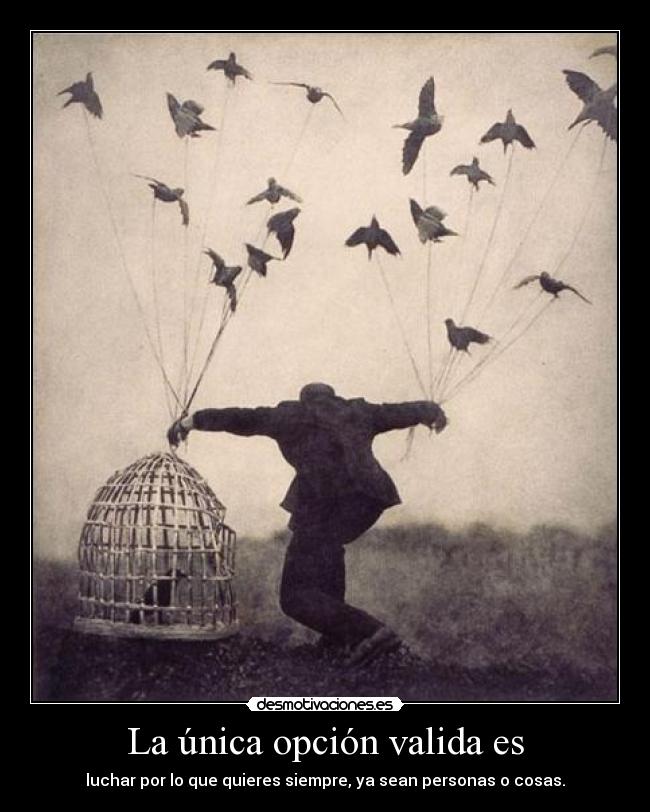 La única opción valida es - luchar por lo que quieres siempre, ya sean personas o cosas.