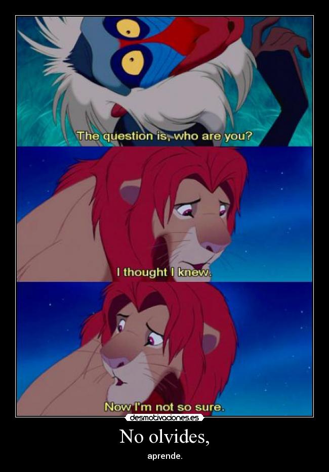 carteles rafiki simba rey leon lion king explorador desmotivaciones