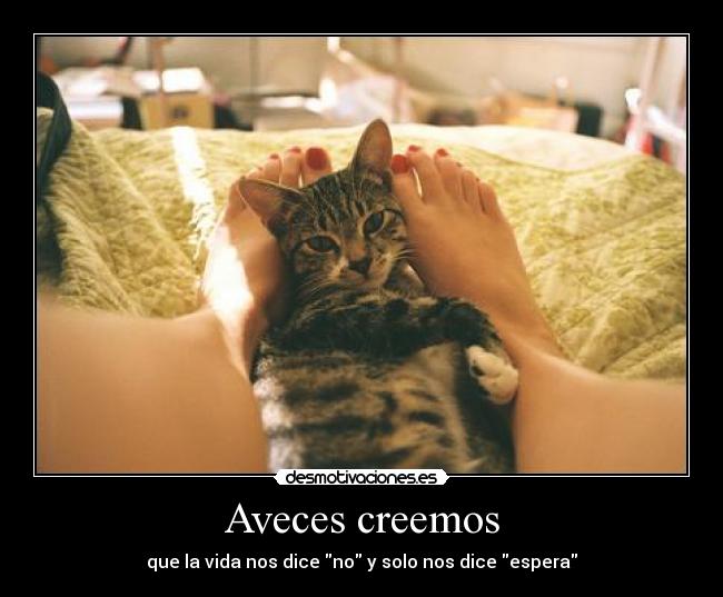Aveces creemos - que la vida nos dice no y solo nos dice espera