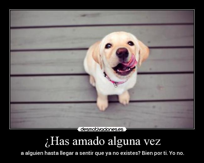 ¿Has amado alguna vez - a alguien hasta llegar a sentir que ya no existes? Bien por ti. Yo no.