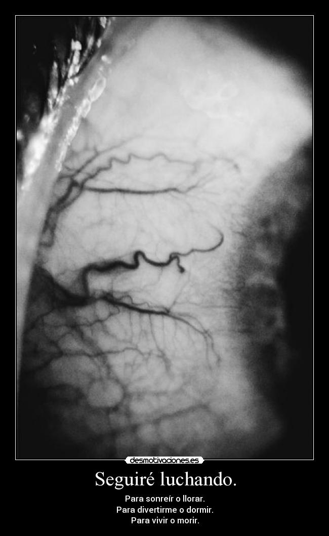 Seguiré luchando. - Para sonreír o llorar.
Para divertirme o dormir.
Para vivir o morir.