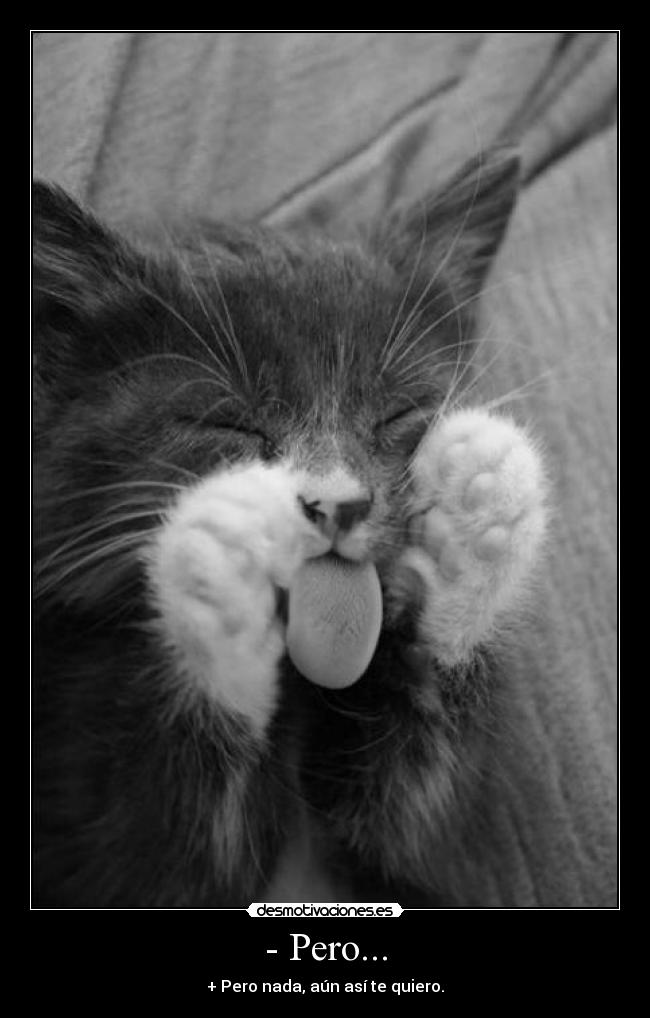 - Pero... - 