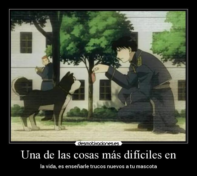 carteles fullmetal alchemist anime roy mustang black hayate desmotivaciones