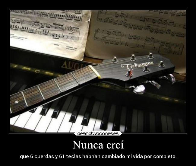 Nunca creí -