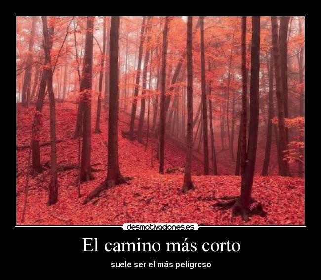 El camino más corto -