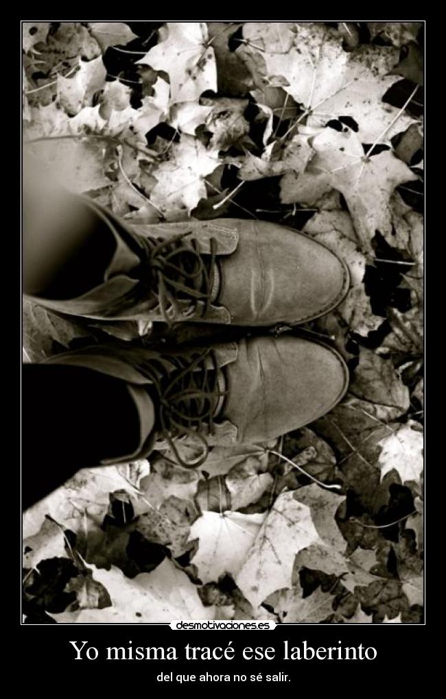 Yo misma tracé ese laberinto - 