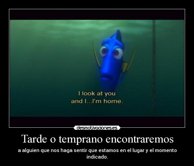 carteles desmopornositas asedy yeshel felicidades mdori bonita quiere frase rara desmotivaciones