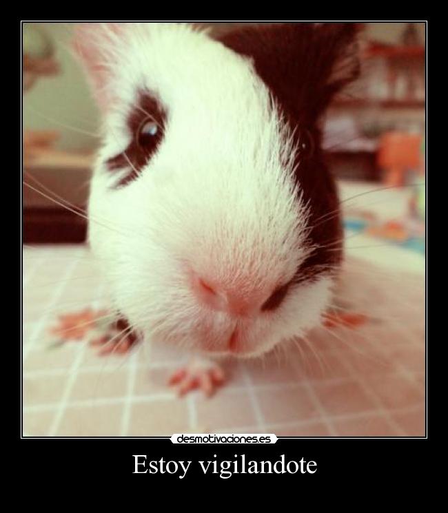 Estoy vigilandote -