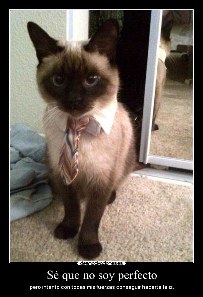 Sé que no soy perfecto -