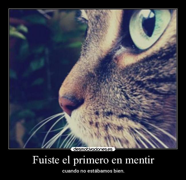 Fuiste el primero en mentir - 