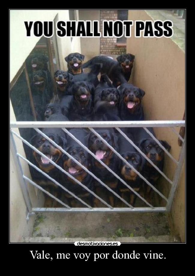 Vale, me voy por donde vine. -