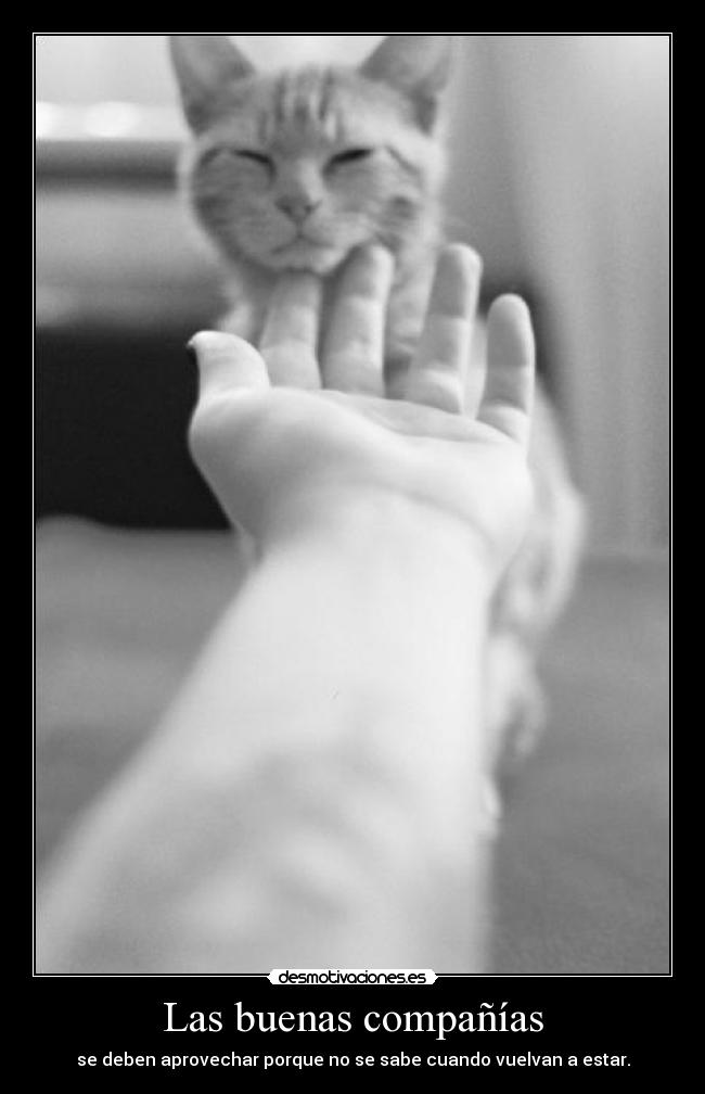 Las buenas compañías -