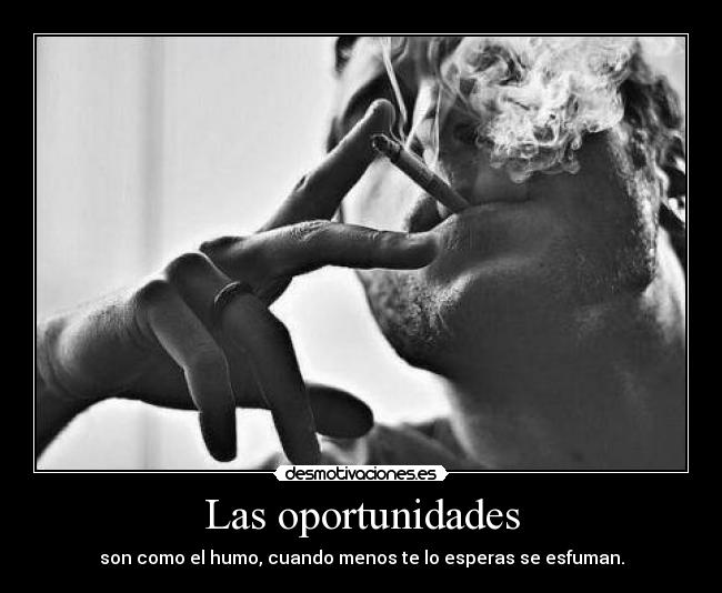 Las oportunidades - 
