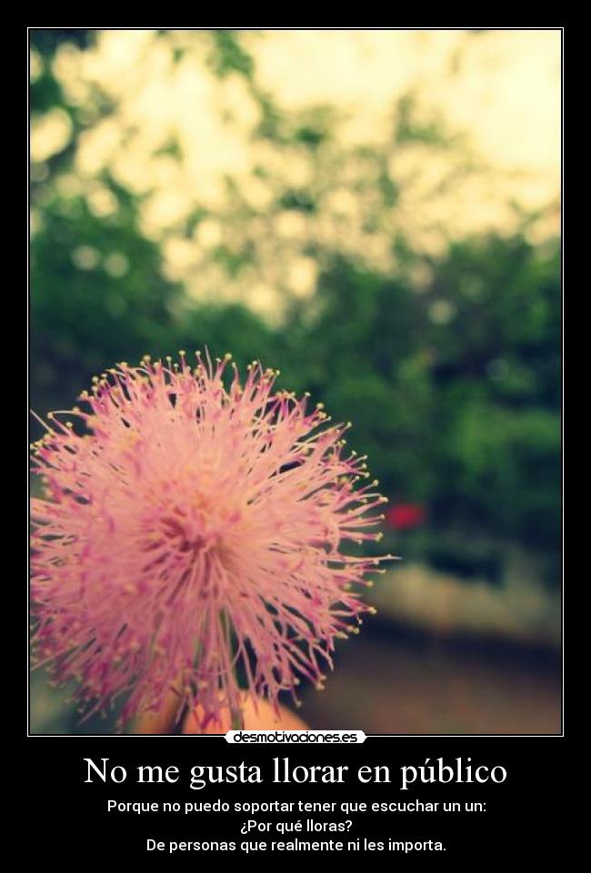 No me gusta llorar en público -