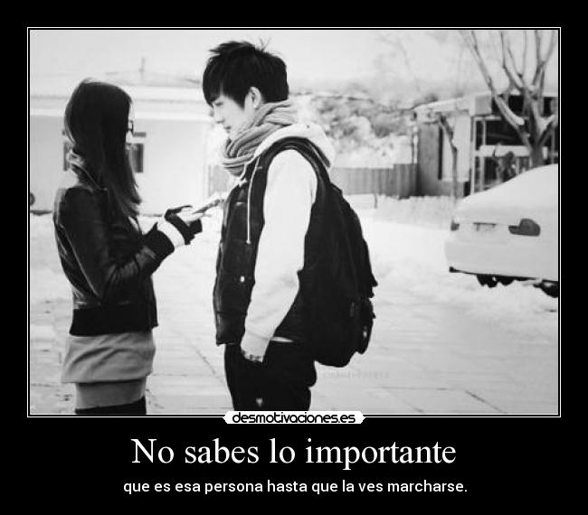 carteles sorry for party rocking imaxi siempre supe que fuiste importante estando ahi ahora debes marchar desmotivaciones