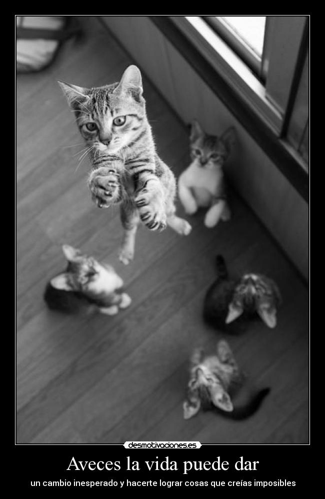 Aveces la vida puede dar -