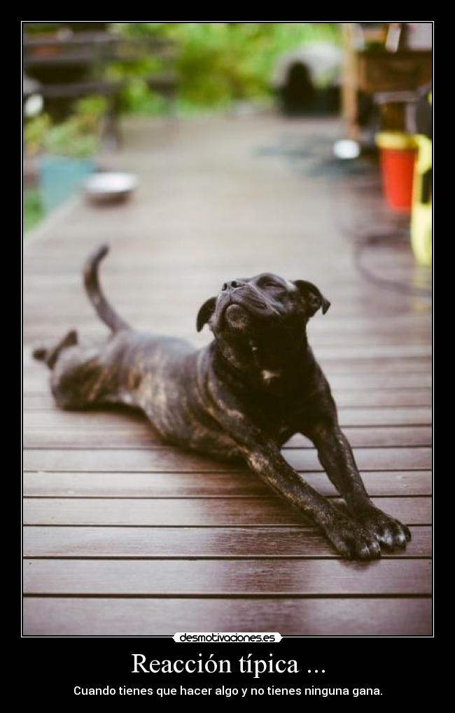 Reacción típica ... -