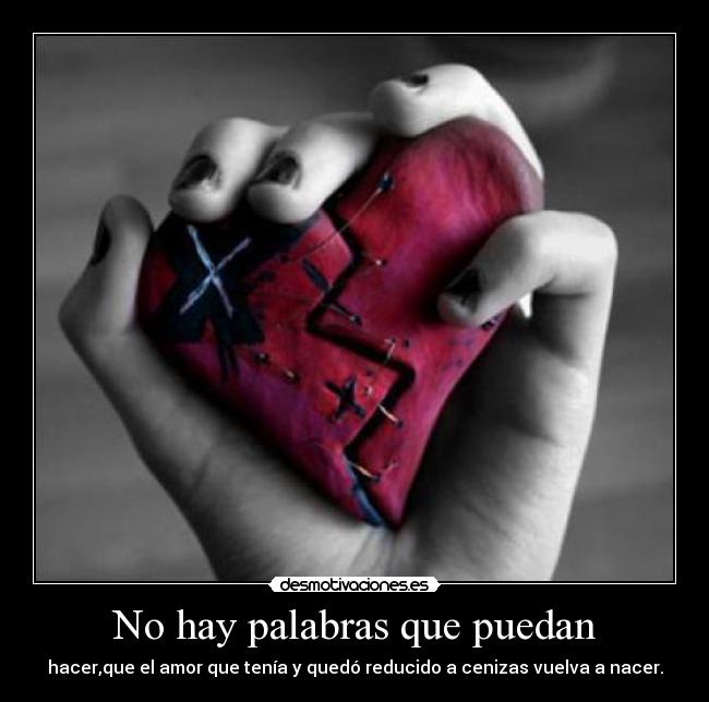 No hay palabras que puedan - 