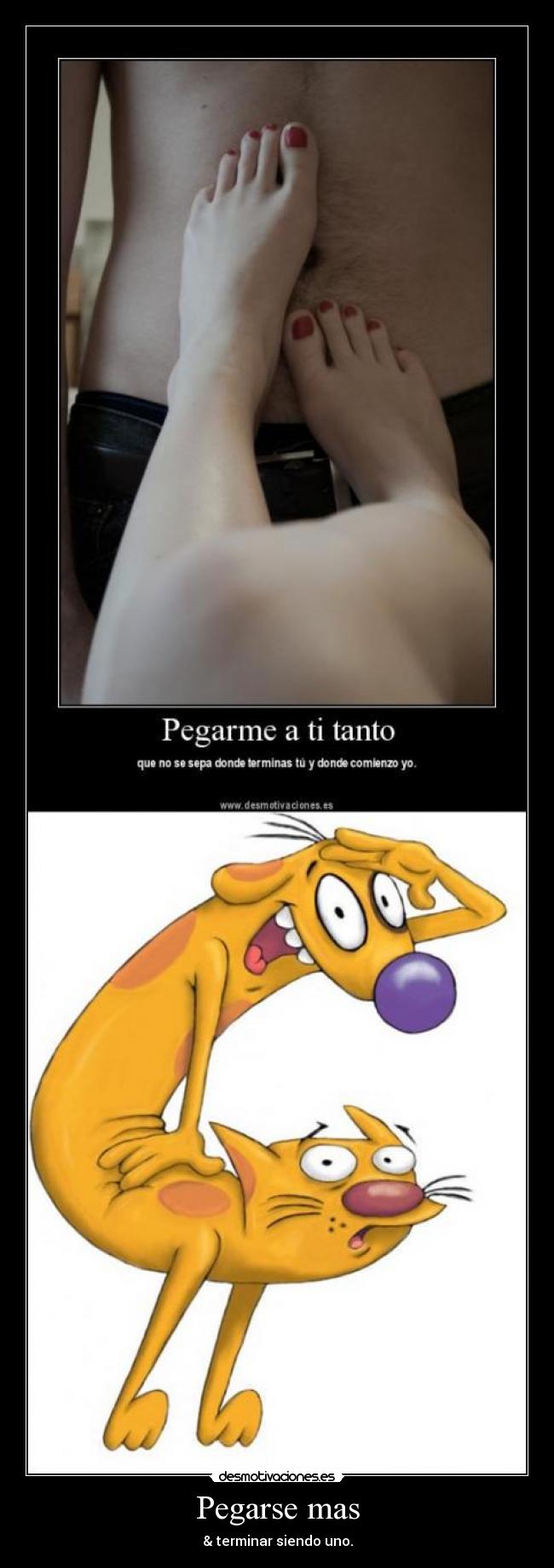 carteles jojoj cat dog desmotivaciones