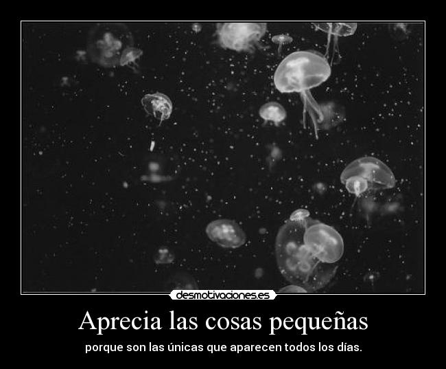 Aprecia las cosas pequeñas - porque son las únicas que aparecen todos los días.