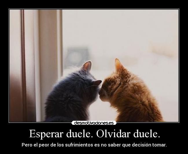 Esperar duele. Olvidar duele. - 