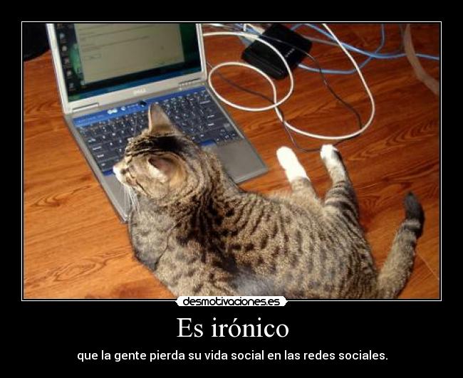 Es irónico -