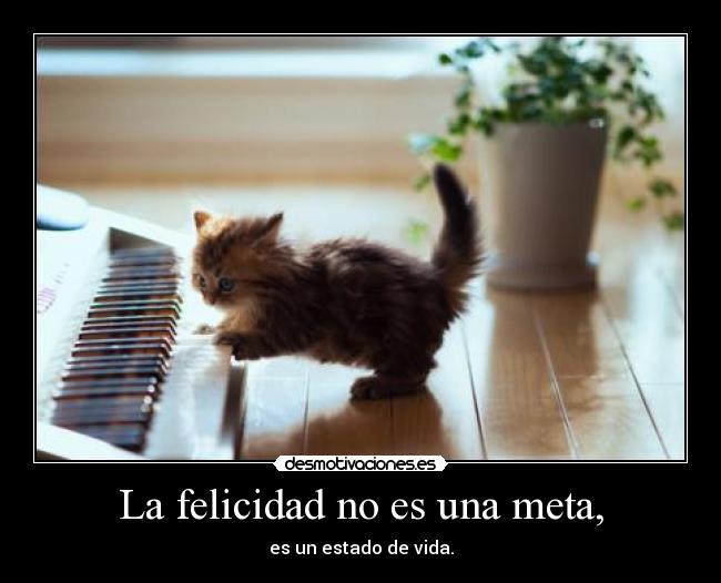 La felicidad no es una meta, - es un estado de vida.