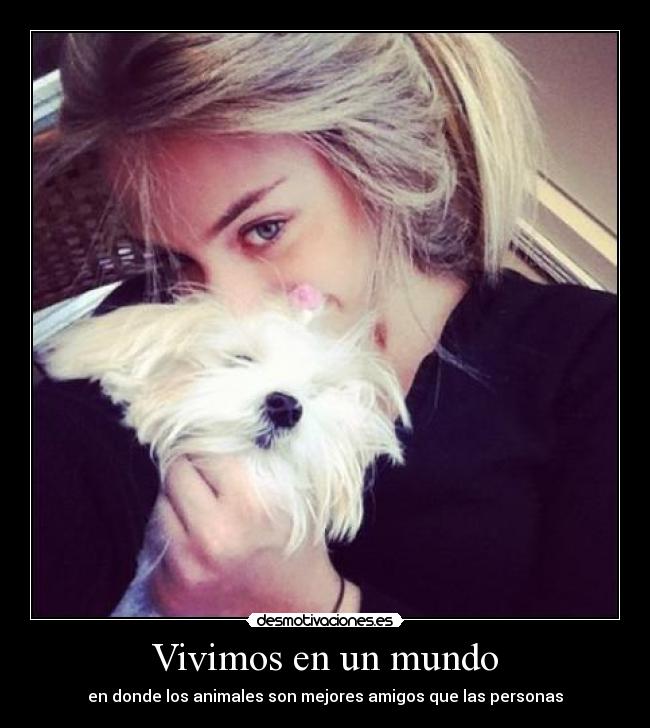 Vivimos en un mundo -