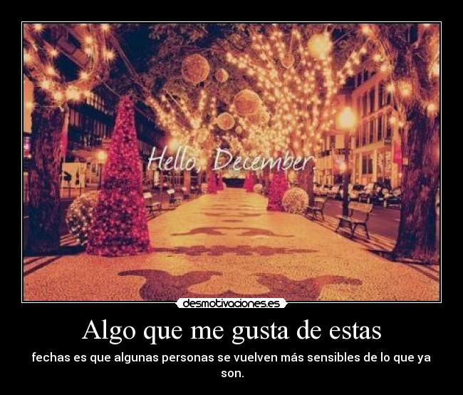 carteles encantan los foquitos jijiji desmotivaciones