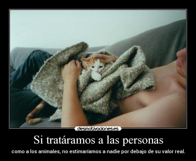 Si tratáramos a las personas -