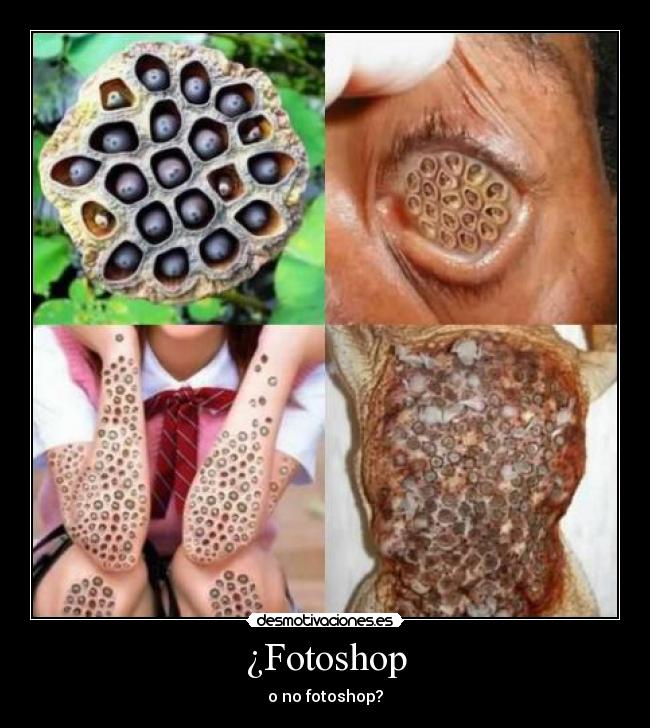 ¿Fotoshop - o no fotoshop?