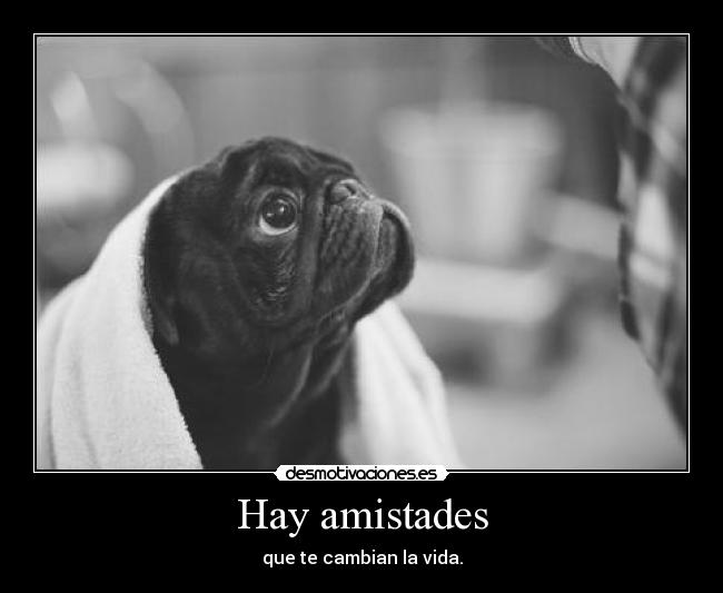 Hay amistades -
