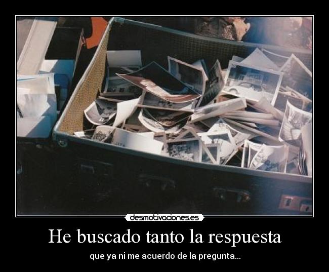 He buscado tanto la respuesta - 