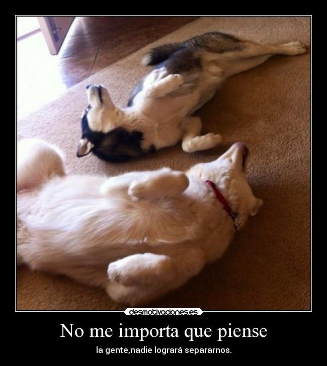 No me importa que piense - 