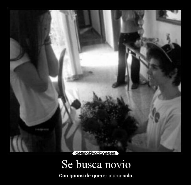 Se busca novio - 